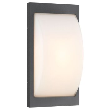 LCD EMDEN Outdoor Wall Light LED black, 1-light source