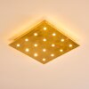 PIONNAT Ceiling light LED gold, 16-light sources