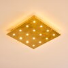 PIONNAT Ceiling light LED gold, 16-light sources