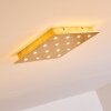 PIONNAT Ceiling light LED gold, 16-light sources