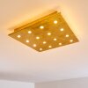 PIONNAT Ceiling light LED gold, 16-light sources