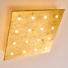 PIONNAT Ceiling light LED gold, 16-light sources