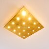 PIONNAT Ceiling light LED gold, 16-light sources