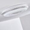 Avoriaz Ceiling Light LED white, 2-light sources, Remote control, Colour changer