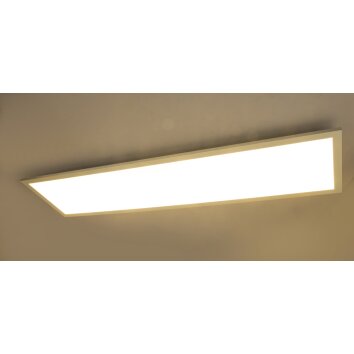 Globo ROSI Ceiling light LED white, 1-light source, Remote control