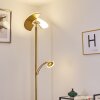 CAZIS Floor Lamp LED brass, 2-light sources
