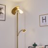 CAZIS Floor Lamp LED brass, 2-light sources