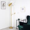 CAZIS Floor Lamp LED brass, 2-light sources