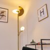 CAZIS Floor Lamp LED brass, 2-light sources