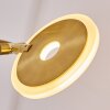 CAZIS Floor Lamp LED brass, 2-light sources