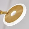 CAZIS Floor Lamp LED brass, 2-light sources