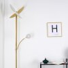 CAZIS Floor Lamp LED brass, 2-light sources