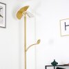 CAZIS Floor Lamp LED brass, 2-light sources