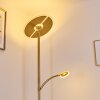 CAZIS Floor Lamp LED brass, 2-light sources