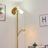 CAZIS Floor Lamp LED brass, 2-light sources