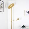 CAZIS Floor Lamp LED brass, 2-light sources