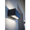Lutec by Eco Light outdoor wall light LED anthracite, 1-light source