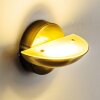 Dominical wall light LED brass, 2-light sources