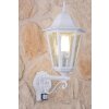 Lutec BRISTOL outdoor wall light transparent, clear, white, 1-light source, Motion sensor