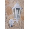 Lutec BRISTOL outdoor wall light transparent, clear, white, 1-light source, Motion sensor