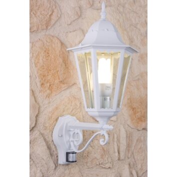 Lutec BRISTOL outdoor wall light transparent, clear, white, 1-light source, Motion sensor