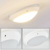 Grafton outdoor ceiling light white, 1-light source