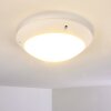 Grafton outdoor ceiling light white, 1-light source