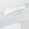 Grafton outdoor ceiling light white, 1-light source