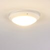 Grafton outdoor ceiling light white, 1-light source
