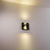 Outdoor Wall Light Haslen LED anthracite, 1-light source
