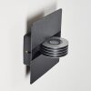 Outdoor Wall Light Haslen LED anthracite, 1-light source
