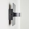 Outdoor Wall Light Haslen LED anthracite, 1-light source