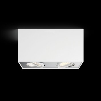 Philips BOX Ceiling light LED white, 2-light sources