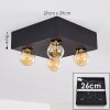 FRIA Ceiling Light black, 4-light sources