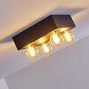 FRIA Ceiling Light black, 4-light sources