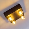 FRIA Ceiling Light black, 4-light sources