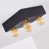 FRIA Ceiling Light black, 4-light sources