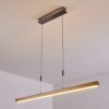 Deshka Pendant Light LED silver, 1-light source