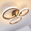 VOLONNE Ceiling light LED stainless steel, silver, 3-light sources
