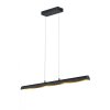 Trio RAMIRO hanging light LED black, 4-light sources