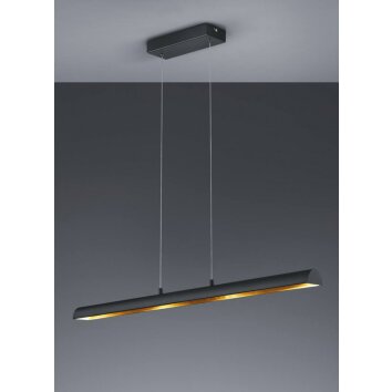 Trio RAMIRO hanging light LED black, 4-light sources