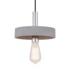 Pendant Light Globo TIMO grey, 1-light source
