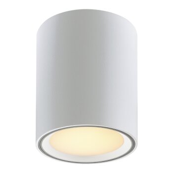 Nordlux FALLON Ceiling light white, 1-light source