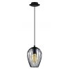 Eglo NEWTOWN pendant light black, 1-light source