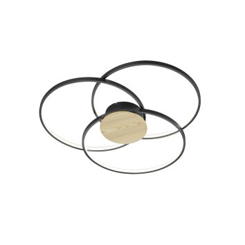 Trio SEDONA Ceiling Light LED black, 1-light source