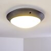 Grafton outdoor ceiling light anthracite, 1-light source