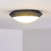 Grafton outdoor ceiling light anthracite, 1-light source