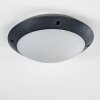 Grafton outdoor ceiling light anthracite, 1-light source