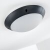 Grafton outdoor ceiling light anthracite, 1-light source
