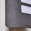 Outdoor Wall Light Alslev anthracite, 1-light source